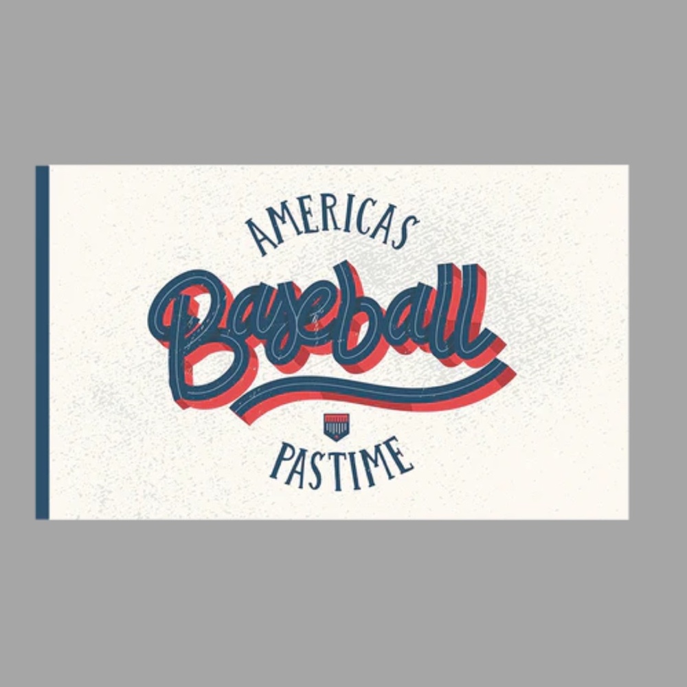 America's Pastime Baseball Flag